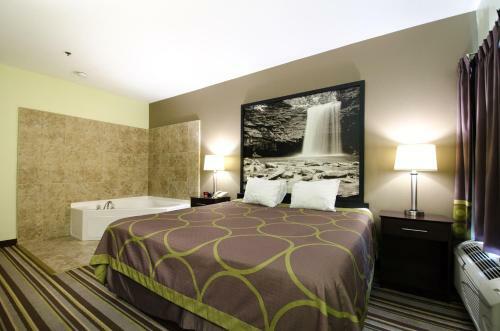 Hotel Super 8 Midlothian/richmond Area