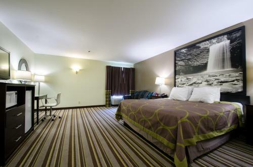 Hotel Super 8 Midlothian/richmond Area