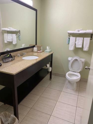 Hotel Super 8 Midlothian/richmond Area