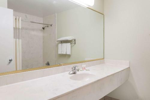 Hotel Super 8 Midlothian/richmond Area