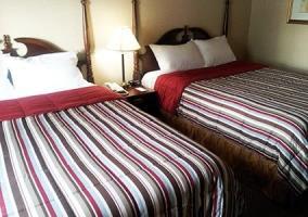 Hotel Econo Lodge City Centre Kingston
