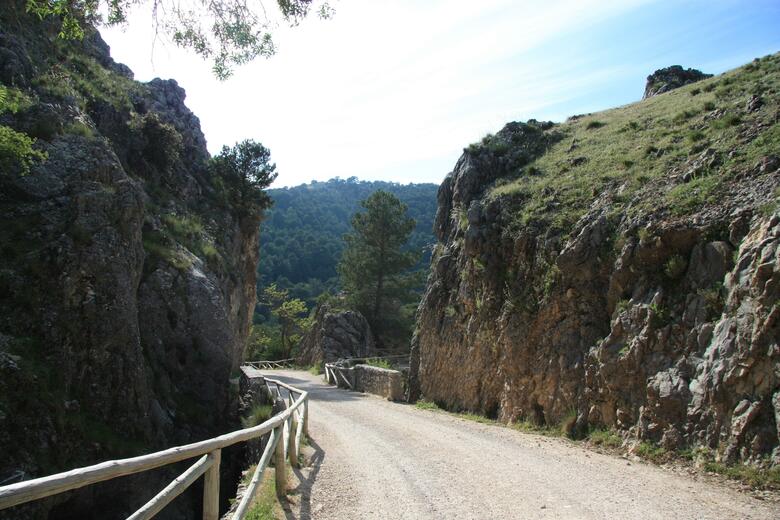 Hotel Monta�a De Cazorla