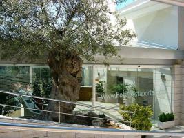Hotel Rd Mar De Portals - Adults Only