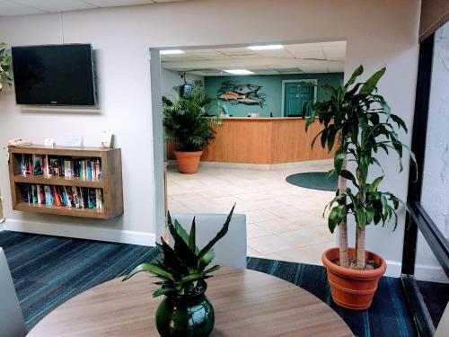 Hotel Tropical Winds Resort