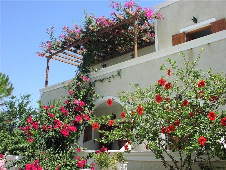 Hotel Makis