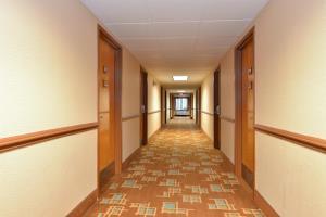Hotel Best Western Executive