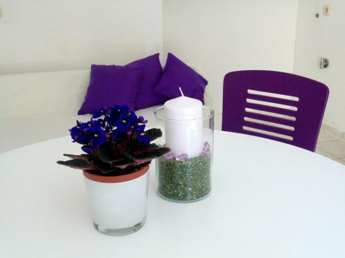 Apartamento Guest House Petricevic