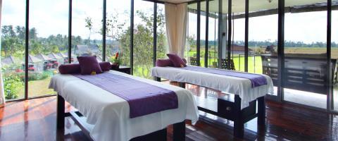 Hotel Furama Villas