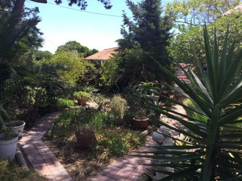 Hostal The Buddha Garden
