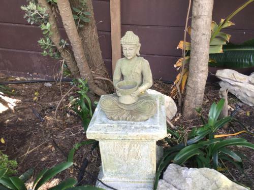 Hostal The Buddha Garden