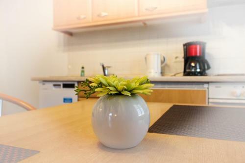 Apartamento "villa Diana"