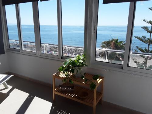 Apartamentos Roca Chica