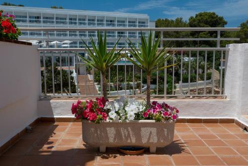 Apartamentos Es Puet Blanc