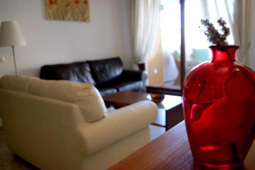 Apartamento Punta Prima 1
