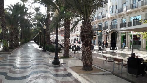 Central Apartamentos