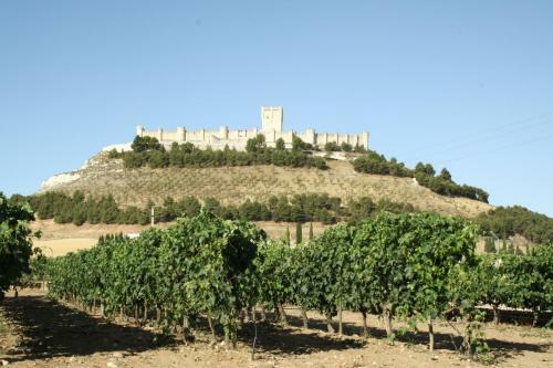 Casa Bodegas Marcos