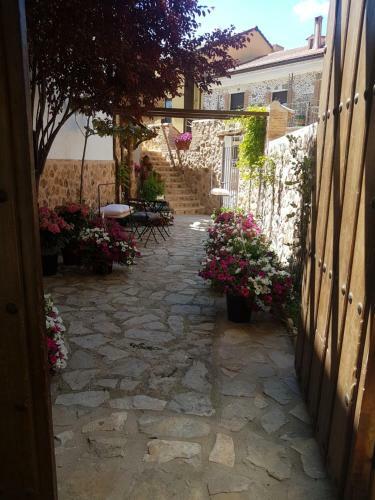 Patio De Las Flores