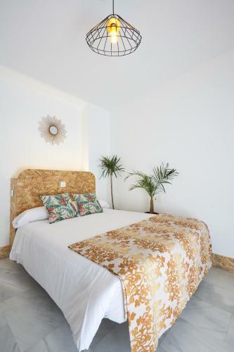 Hostel Vita