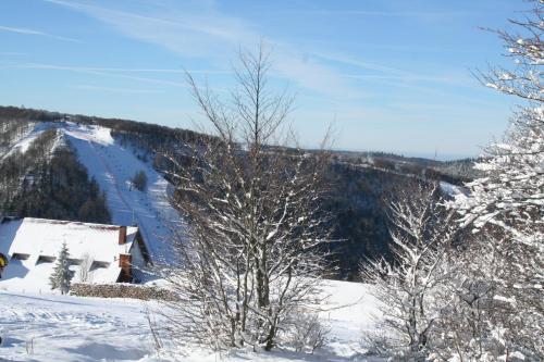 Apartamentos R�sidence Du Ch�teau Lublin