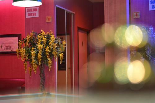 Hotel Siatel Chateaufarine