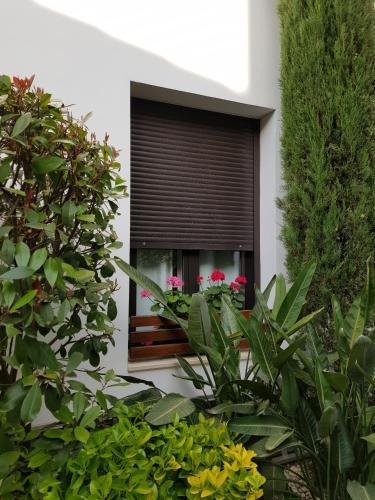 Apartamentos Patio De Viana