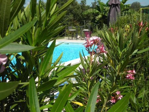 Bed & Breakfast Chambre D'h�tes Mas Castel