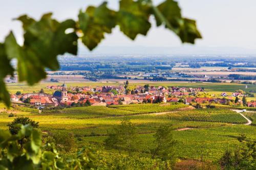 Bed & Breakfast Chambres D'h�tes Fran�ois Bleger