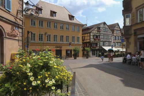 Apartamentos Colmarappart Grand'rue