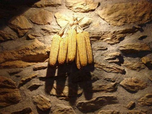 Agroturismo Cal Sams