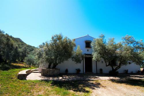 Casa Olivos