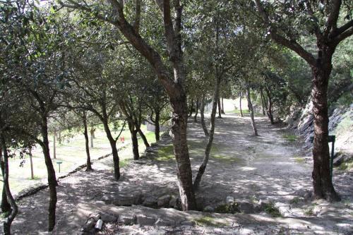 R�sidence L'araguina