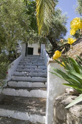 Agroturismo Molino El Vinculo