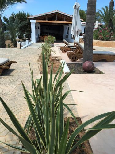 Apartamento Petunia Ibiza