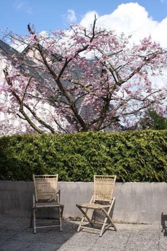 Apartamento La Salamandre