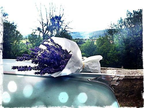 Bed & Breakfast Le Petit Cafe