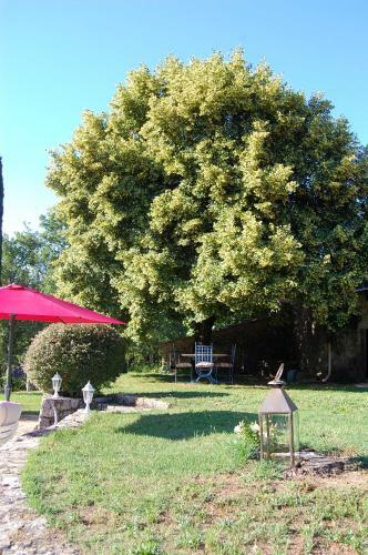Bed & Breakfast Bergerie Des Suanes