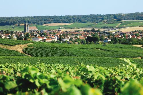 Hotel Le Relais Champenois Logis