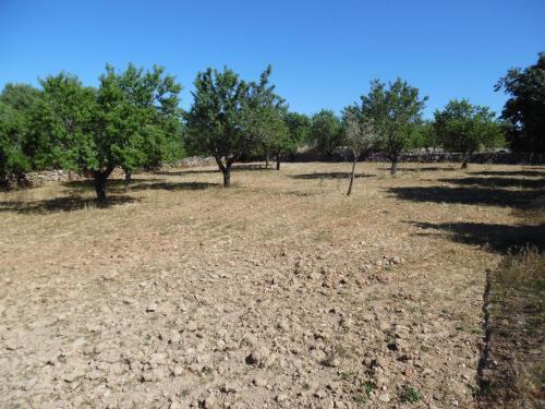 Villa Finca Son Rosinyol