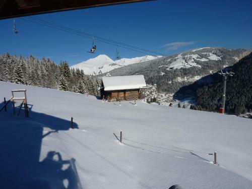 Chalet Les Fys