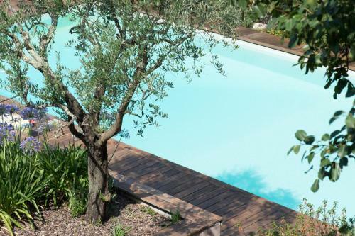Bed & Breakfast Ch�teau Du Tasta