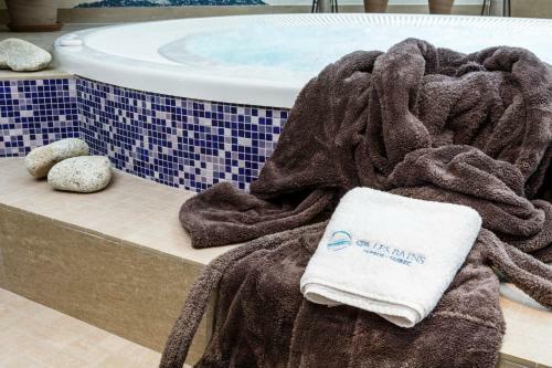 Best Western Les Bains Hotel Et Spa