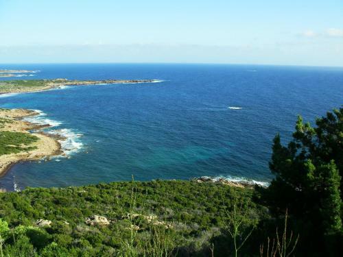 R�sidence Les Aulnes