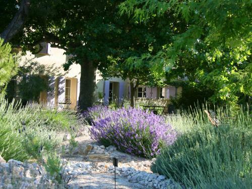 Bed & Breakfast Couleur Lavande