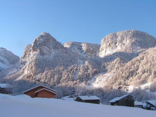 Apartamento Chalet Des Cascades