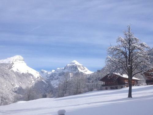 Apartamento Chalet Des Cascades