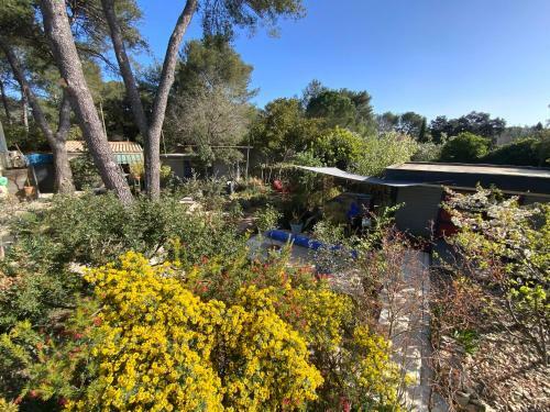 Bed & Breakfast Inn 4 Bears