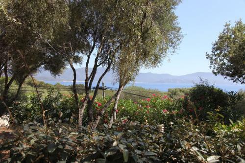 R�sidence Ogliastrello