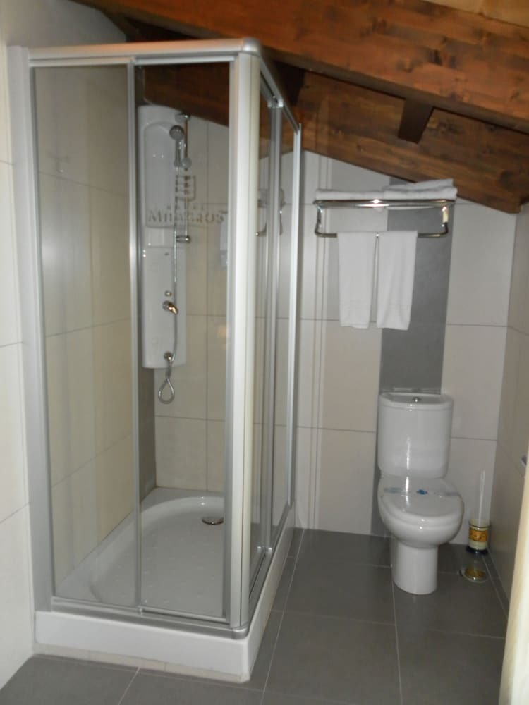 Hotel Milagros Rio Riaza