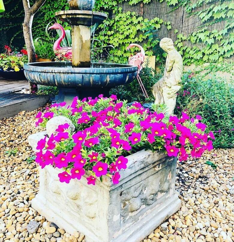 Bed & Breakfast Maison Des Palmiers