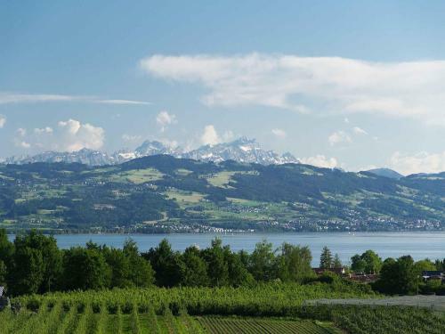 Apartamento Ferienhaus Behler